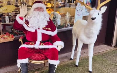 Marché de Noël et Vide-Greniers le Samedi 29 Novembre